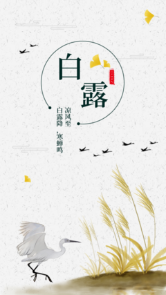簡約傳統(tǒng)節(jié)氣白露海報在線制作軟件_好用的在線設計工具-易圖www.egpic.cn